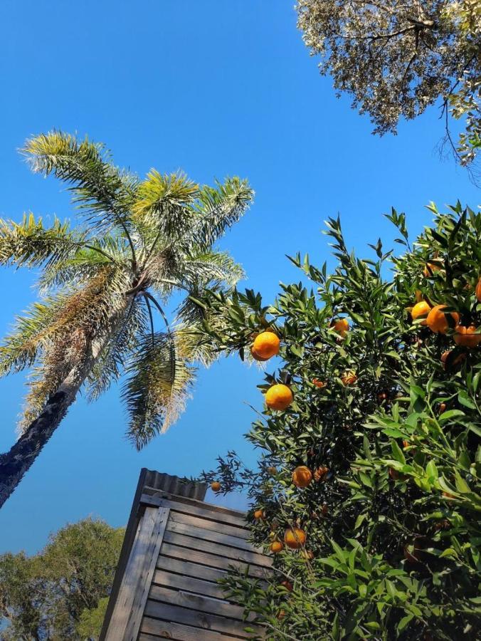 Pousada Quinta Sao Pedro Hotel Itaara Eksteriør billede